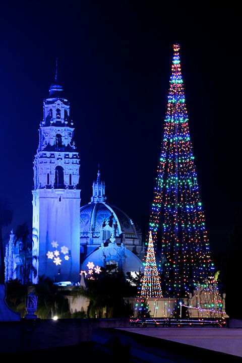 67 San Diego Holiday Traditions You Don't Want to Miss