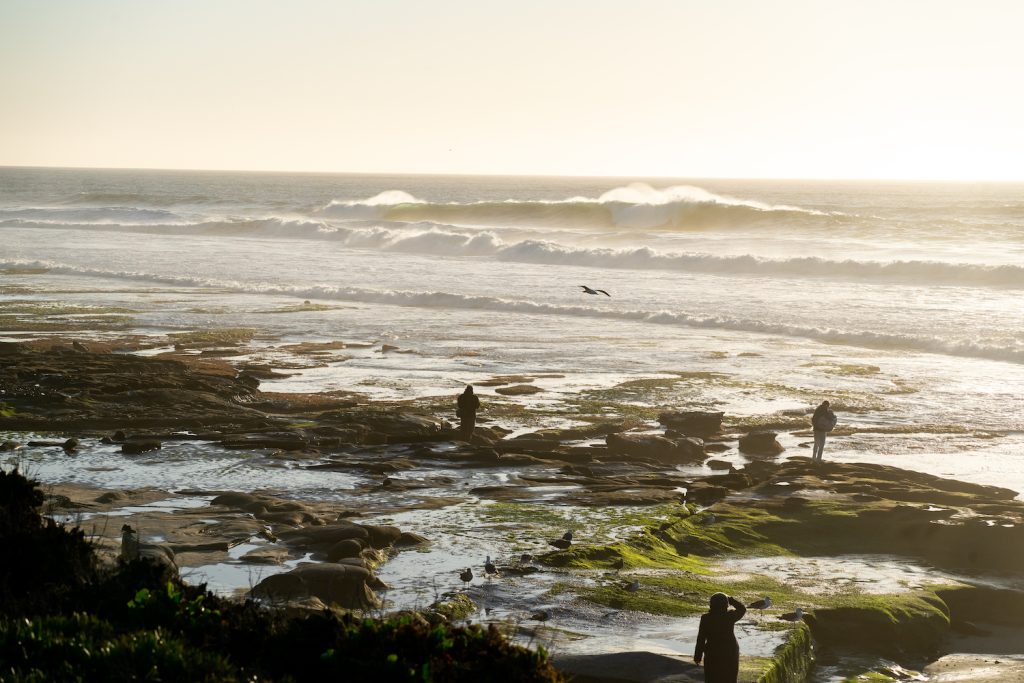 Less crowded San Diego beaches featuring Windansea Beach near Pacific Beach