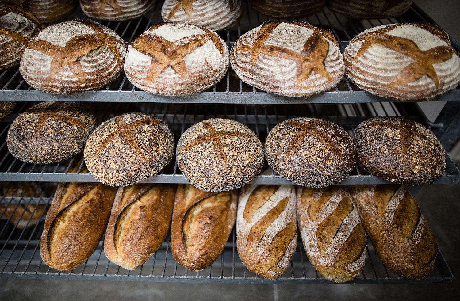 San Diego bakery Prager Brothers Artisan Breads located in University Heights