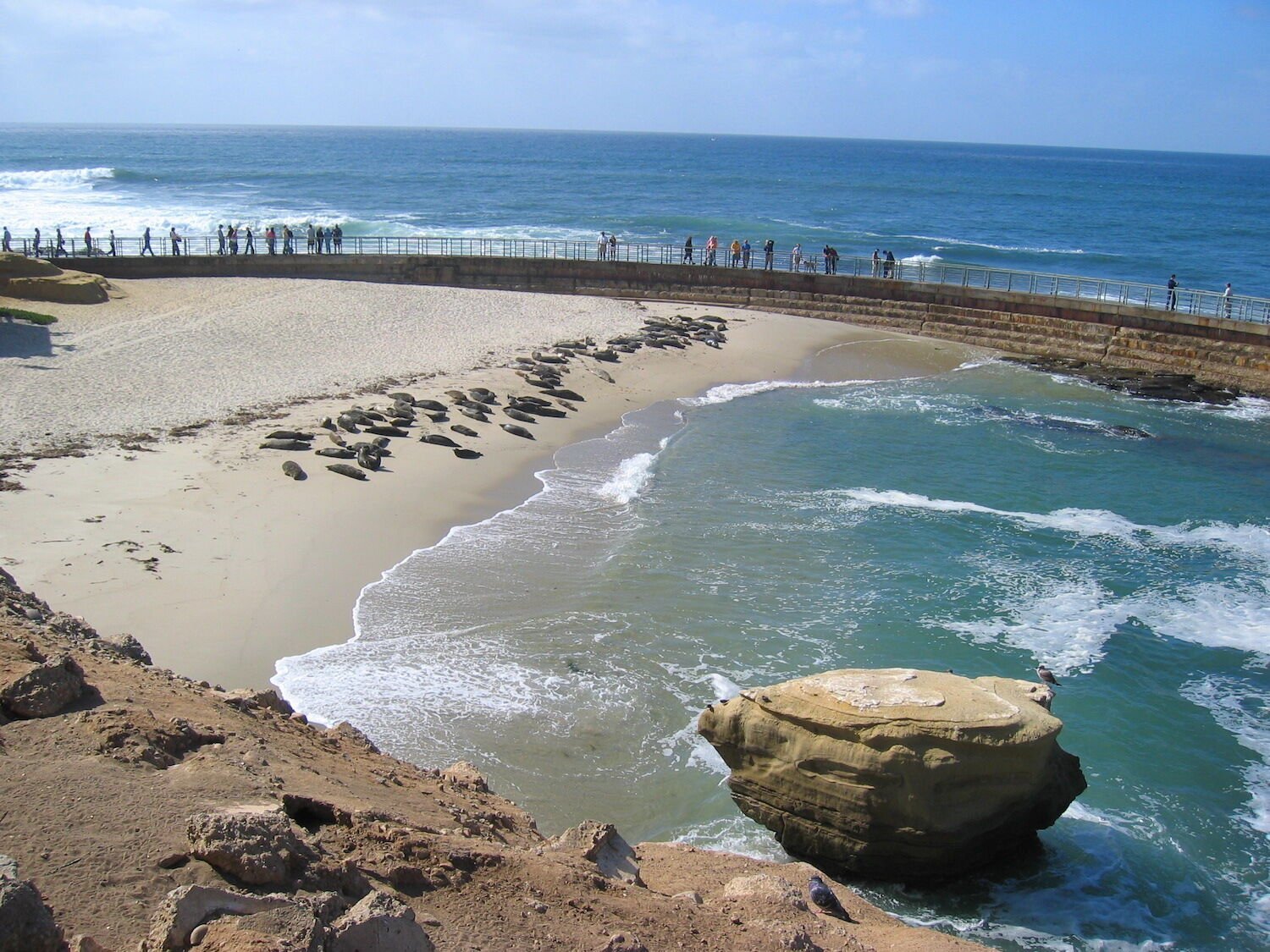 Best marriage proposal spots in San Diego featuring La Jolla Children's Pool 