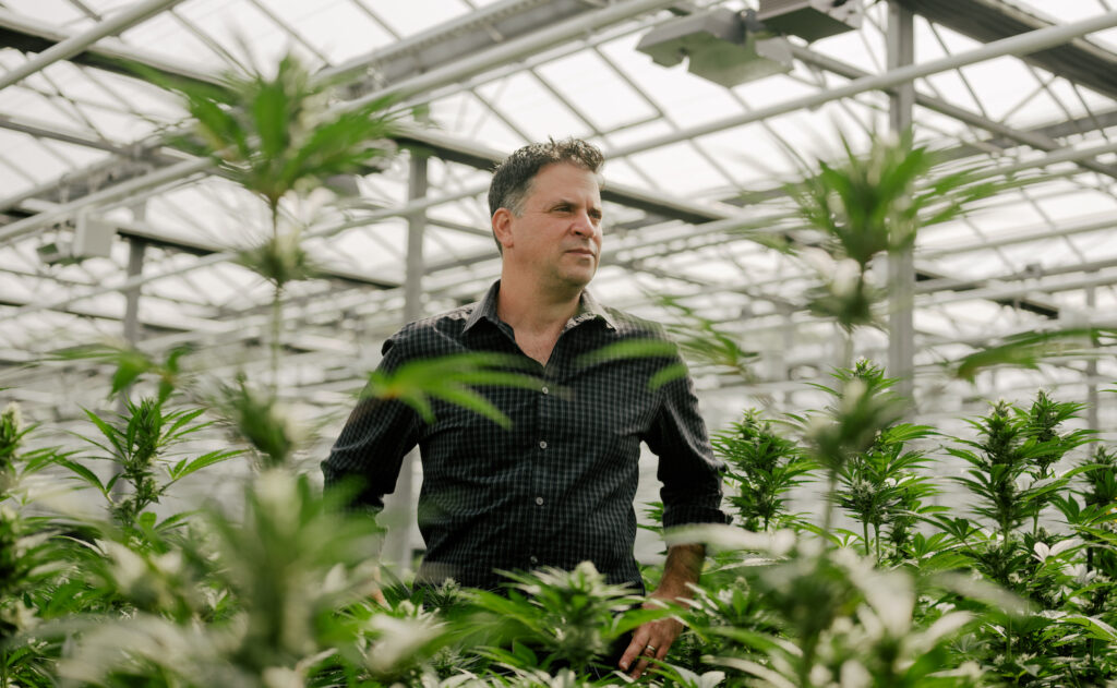 Making the Green Greener in the Cannabis Industry
