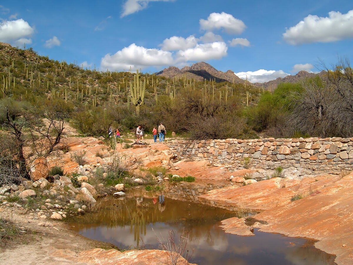 Road Trips / Tucson, Arizona