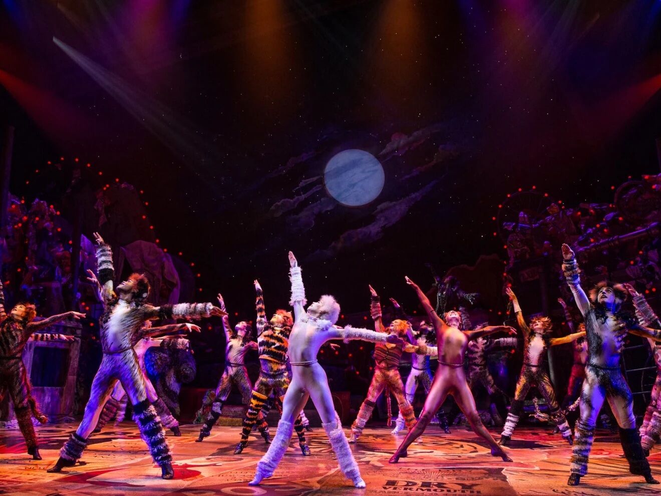 CATS - Broadway San Diego