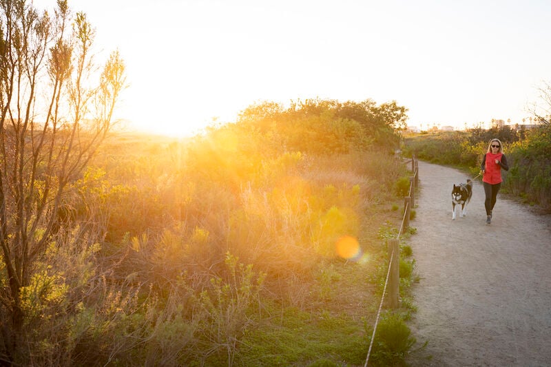 Hiking Guide - TJ Estuary