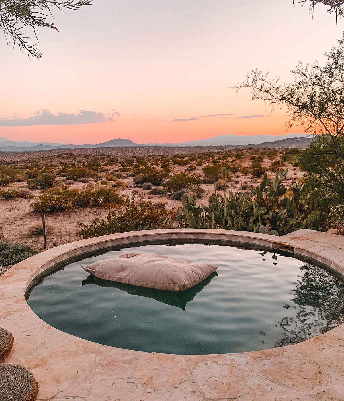 Road Trips / Joshua Tree