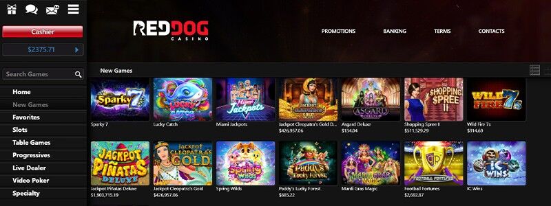 Best Casinos - Red Dog