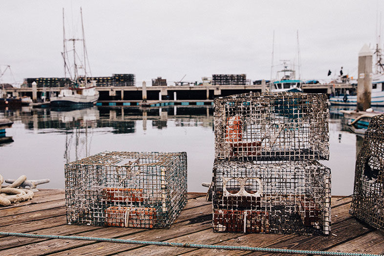 Point Loma Commercial Fishing Alliance formed by commercial