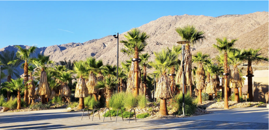 Palm Springs Mountain Views