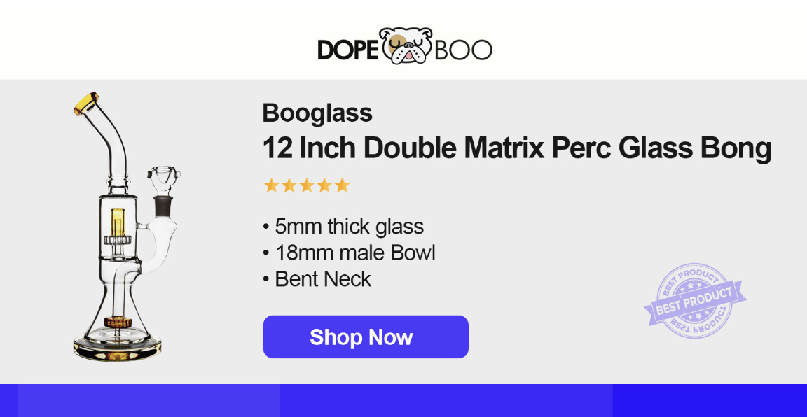 Best Bongs: Top 5 Bong Brands For Smoking Weed In 2023 - San Diego Magazine