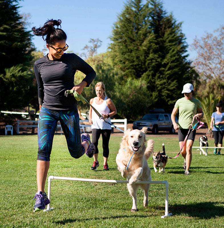 A Guide to Working Out With Your Dog