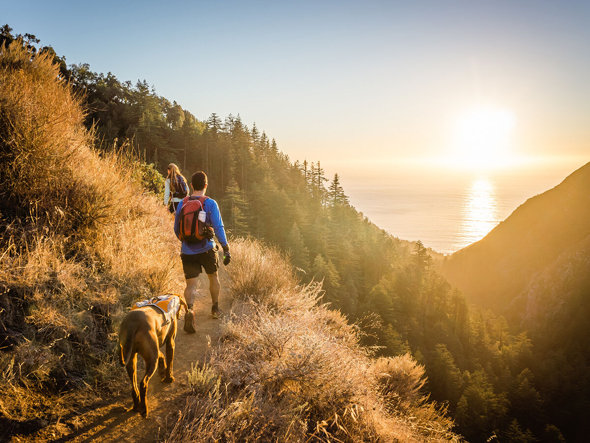 Road Trips / Big Sur