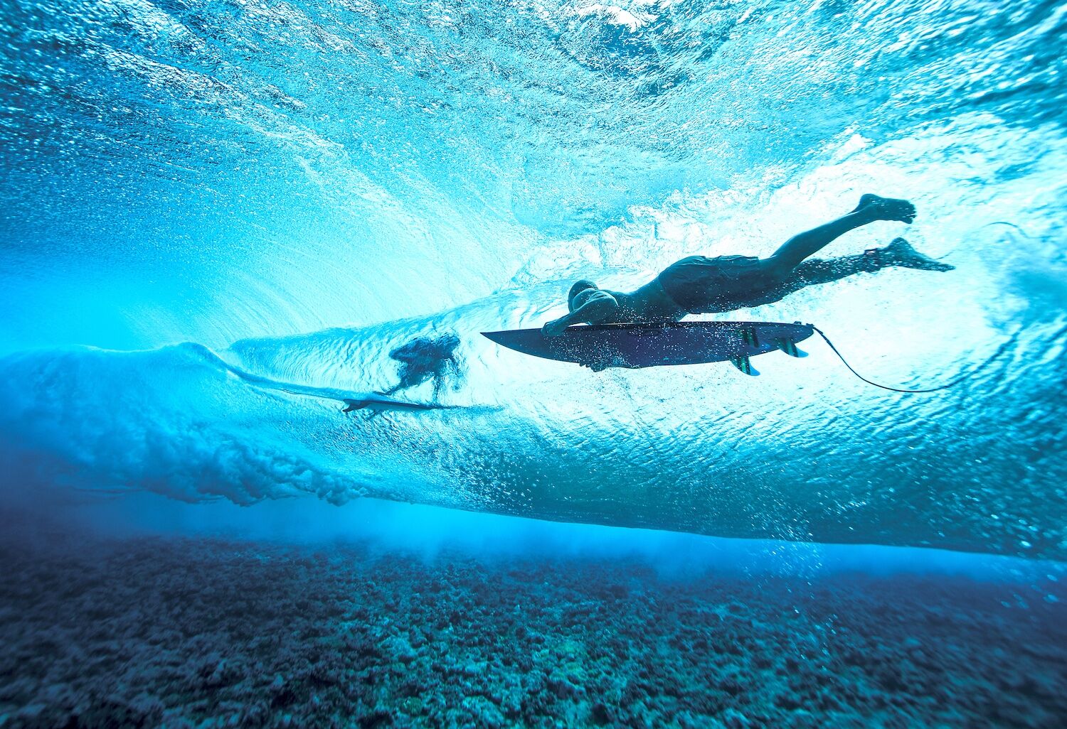 Todd Glaser underwater