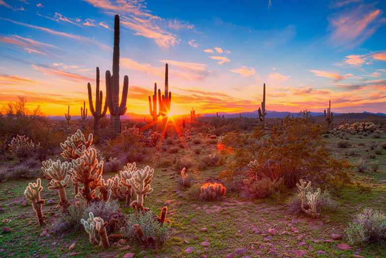 4 Reasons to Visit Amazing Arizona - San Diego Magazine