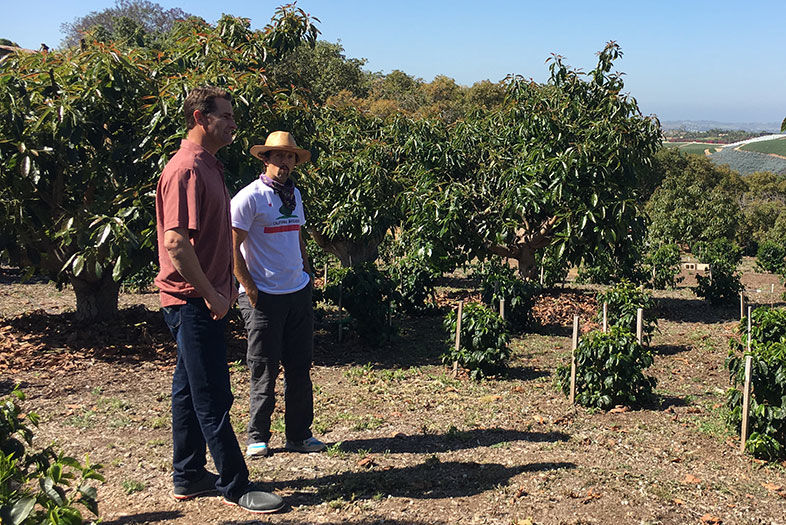 Jason Mraz Is Growing Coffee on a Farm in Oceanside