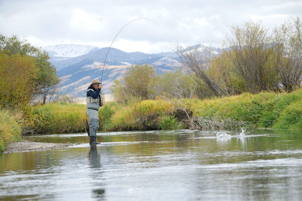 Direct Flights - Montana