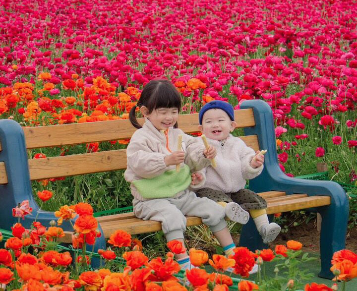 Carlsbad Flower Fields Kids