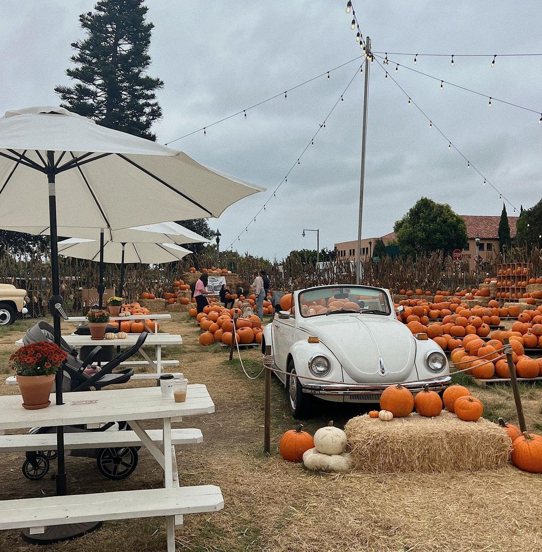 Goff Family Pumpkin Patch