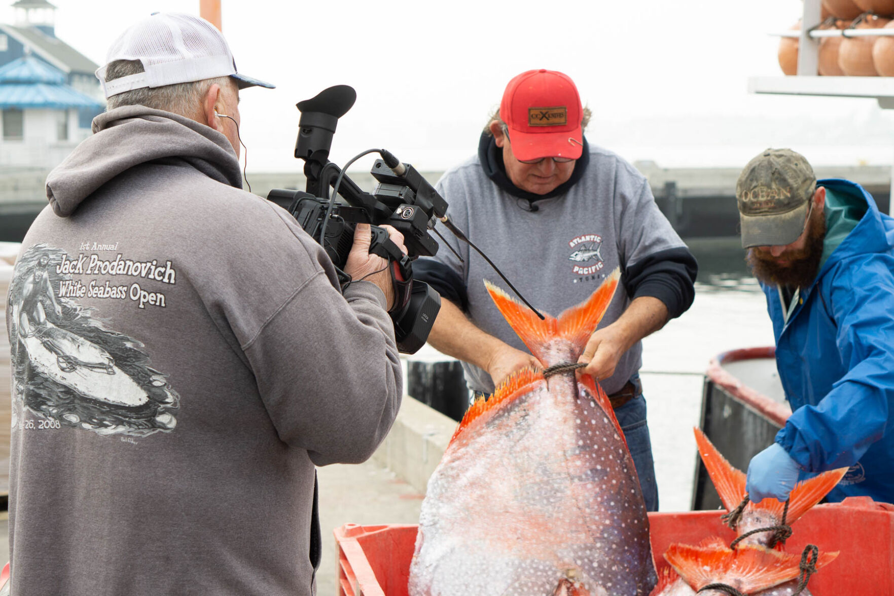 We Chat with Tommy Gomes about His New TV Show, The Fishmonger