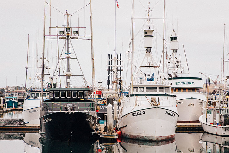 Plan To Revive San Diego Fishing Industry Agreed Upon By Fishermen