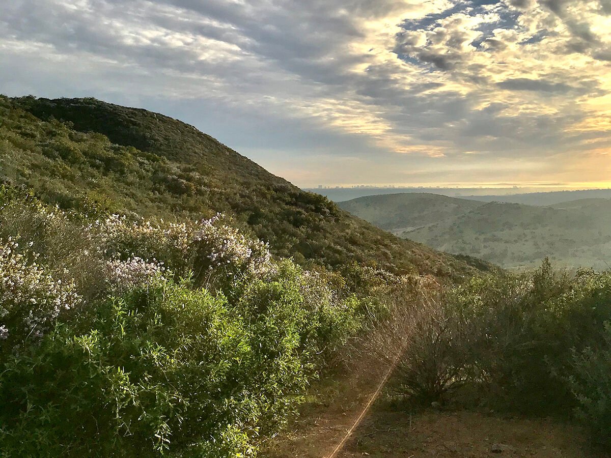 Morning Hikes / North and South Fortuna Trails