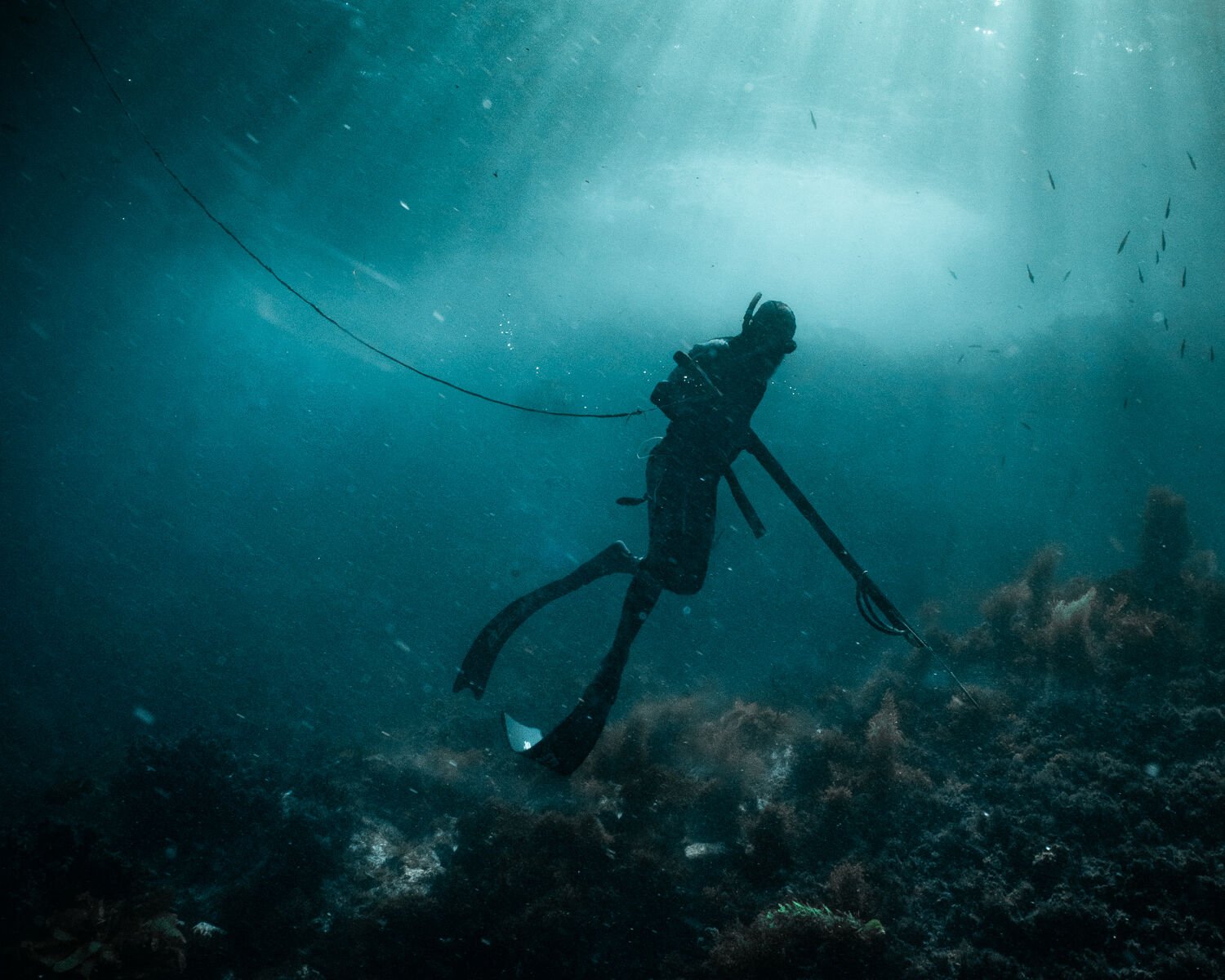 Spearfishing can be practiced by means of three main diving techniques