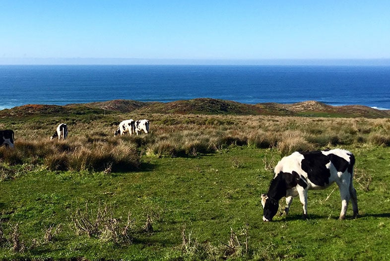 point reyes national seashore county