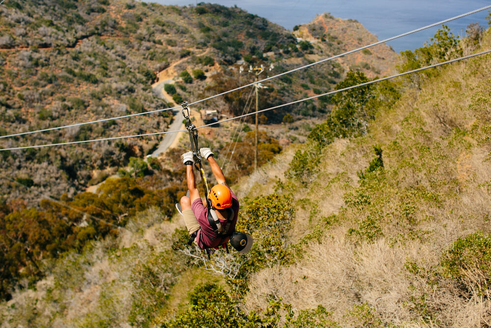 Catalina Island - Zipline tour