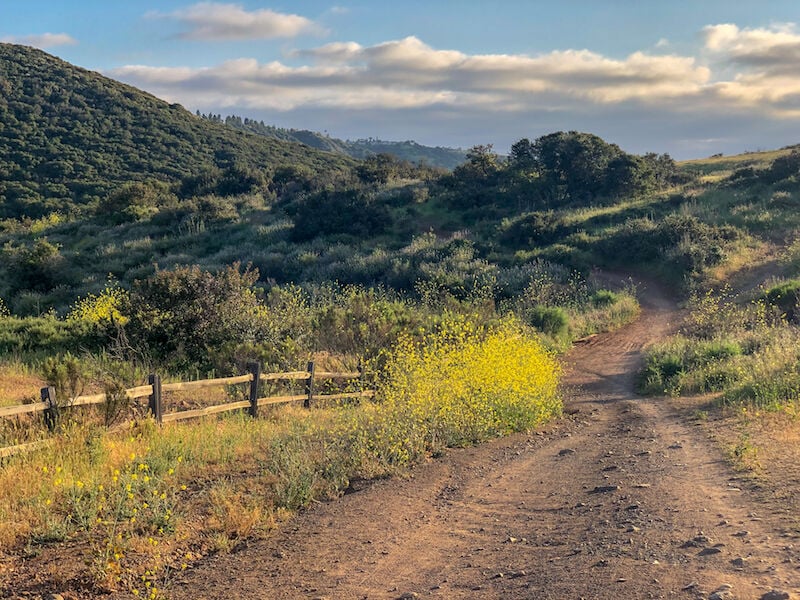 Hiking Guide - Penasquitos