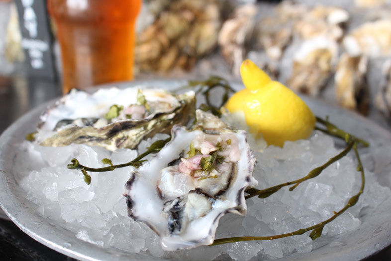 Beer and Oysters: Pearls of Wisdom 2