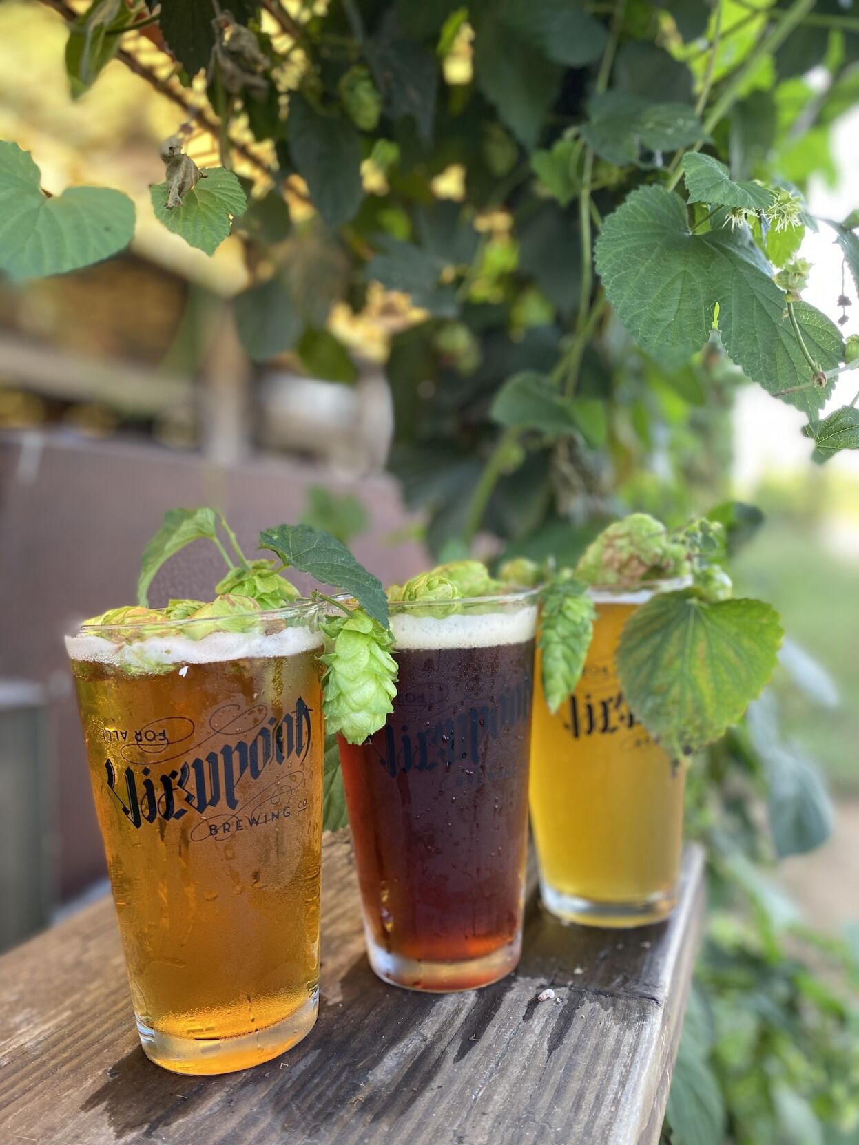 Viewpoint Brewing