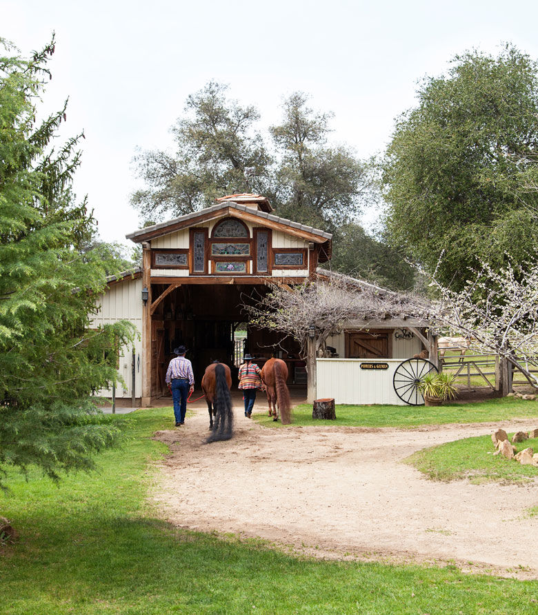 Bonus: More Photos of Diane Powers' Ranch