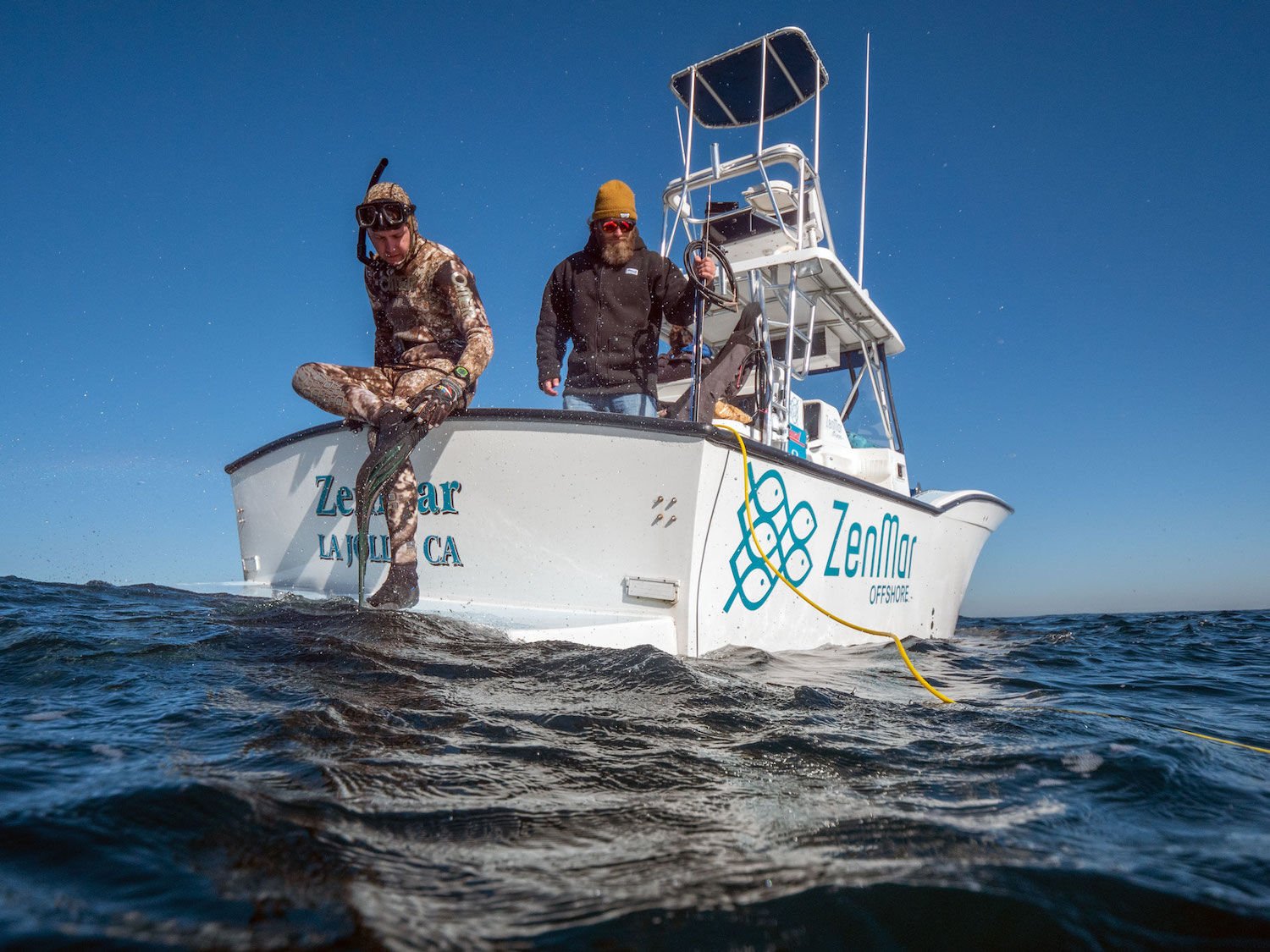 Marveling Over a Marlin - The New York Times