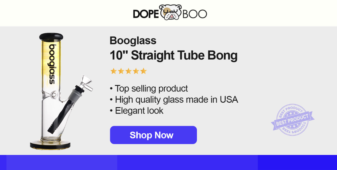 Best Bongs: Top 5 Bong Brands For Smoking Weed In 2023 - San Diego