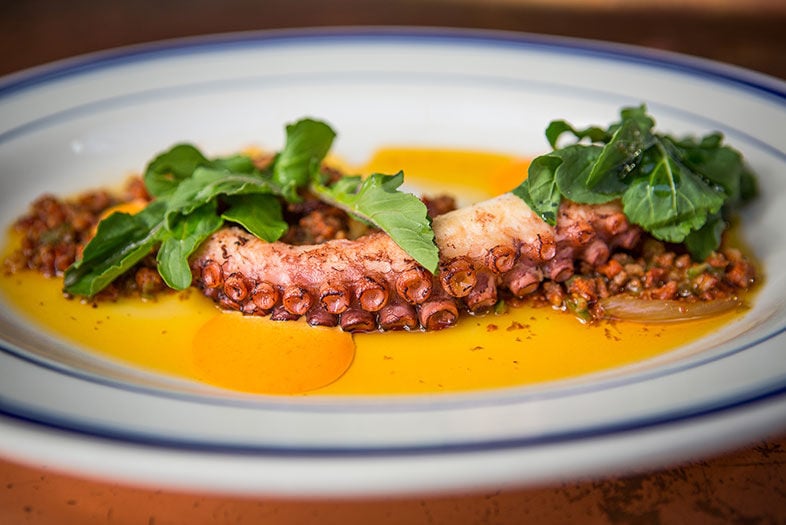 Side Dish: Octopus - San Diego Magazine