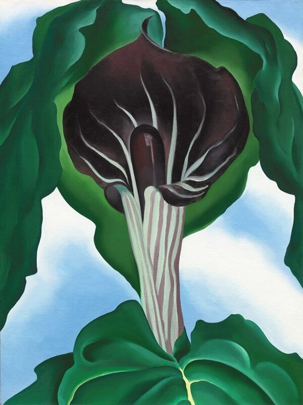 O'Keeffe Jack in the Pulpit