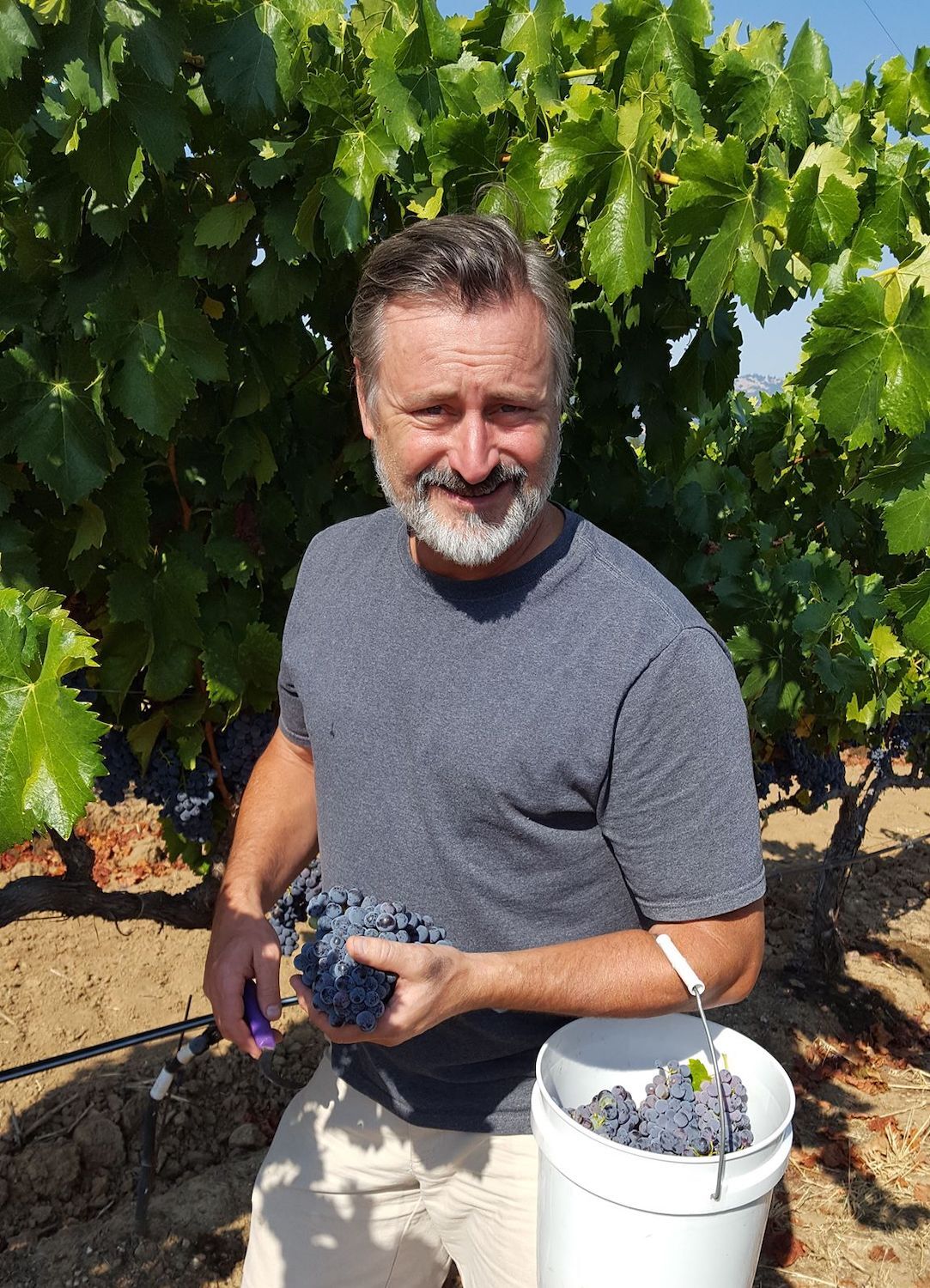 Robert Perkins Skylark Wines Q&A Del Mar Wine + Food Festival 2023