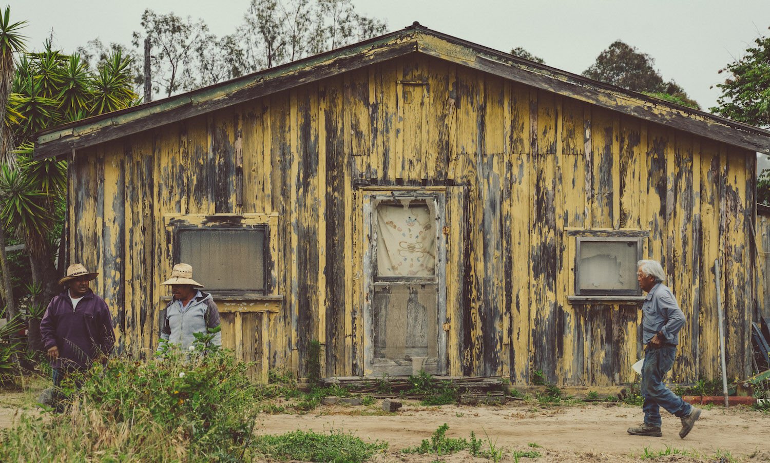 Chino Farms Rancho Santa Fe San Diego 2023 Farmers Shed