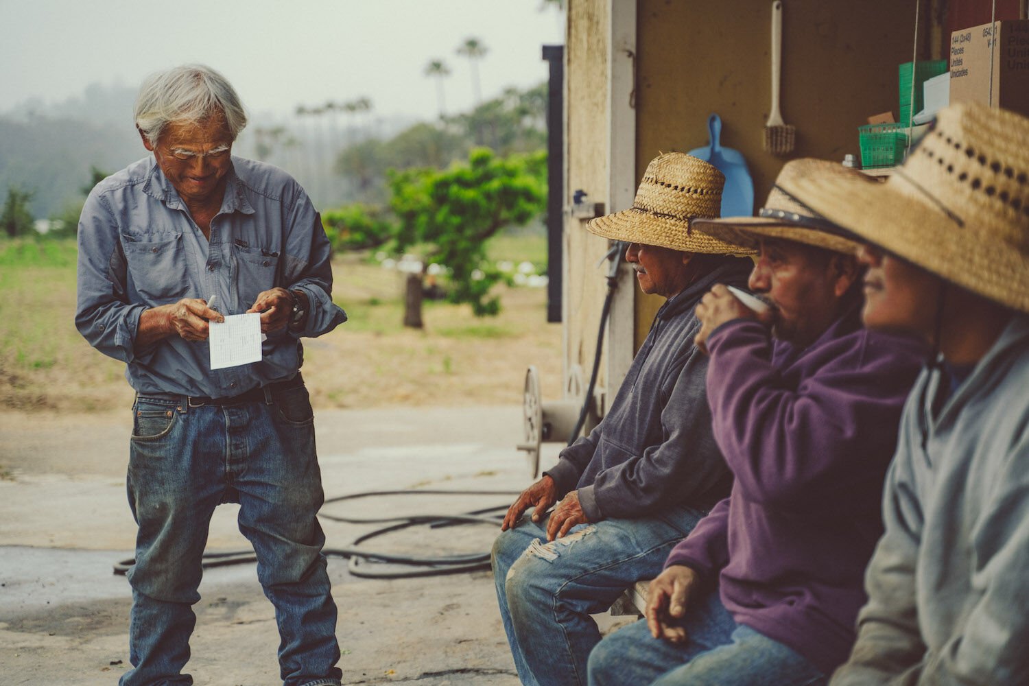 Chino Farms Rancho Santa Fe San Diego 2023 Farmers