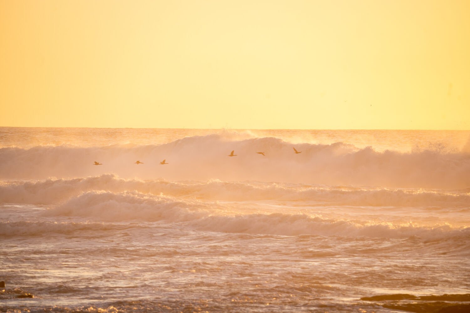 La Jolla Cove Bomb Cyclone Waves 2023