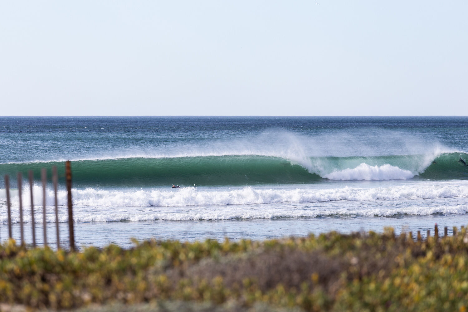 Cardiff Encinitas Surfing