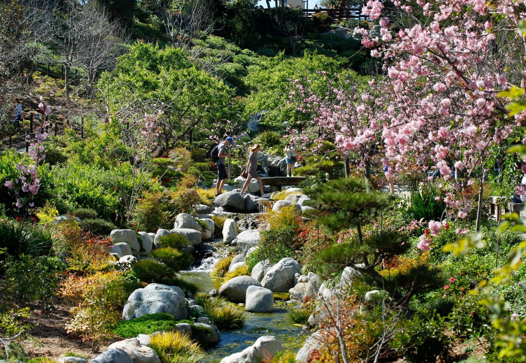 Japanese Friendship Gardens, San Diego