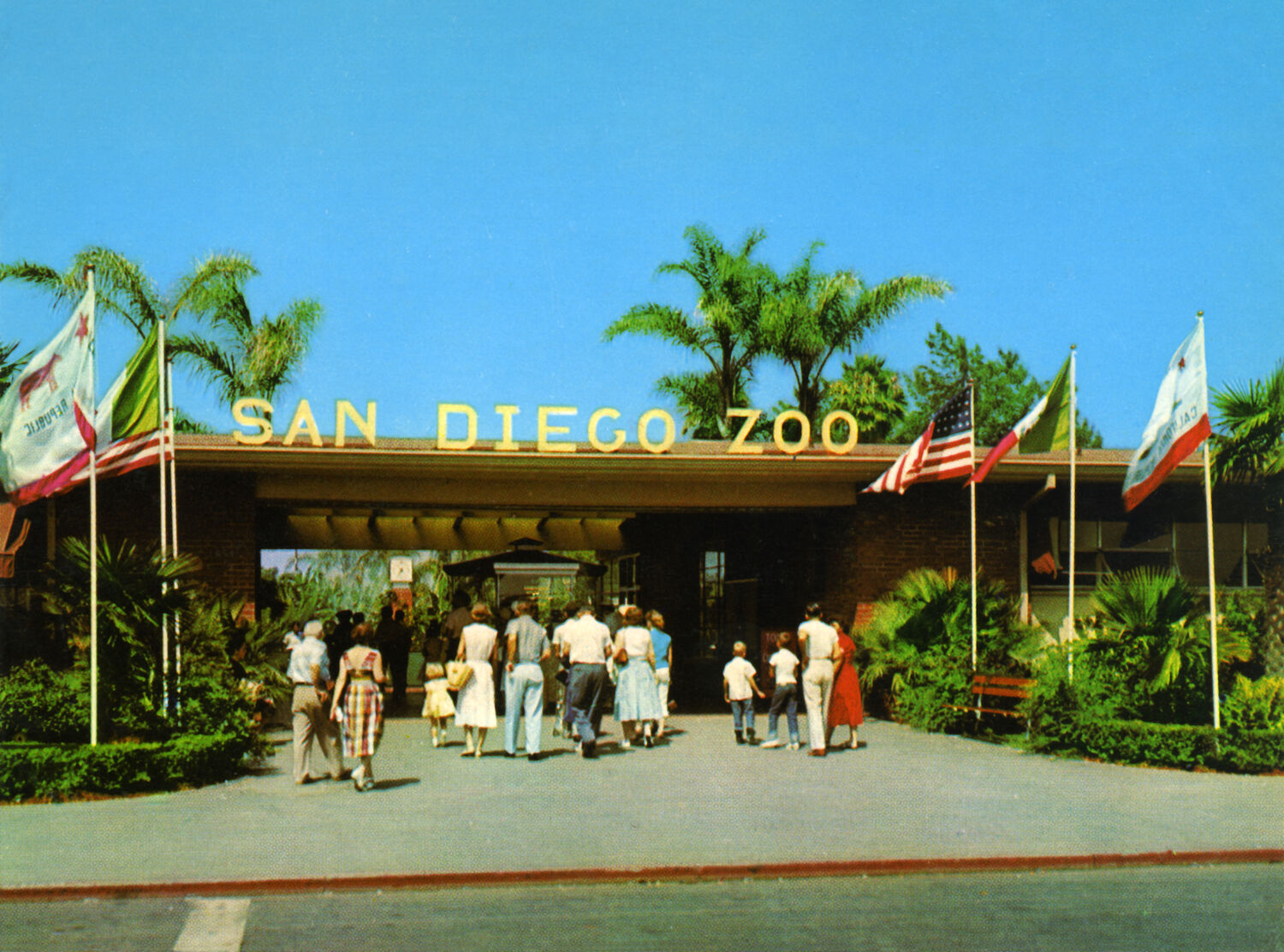 San Diego Zoo Vintage Photography History