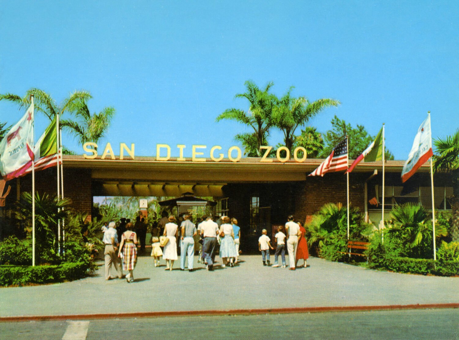 San Diego Zoo Vintage Photography History