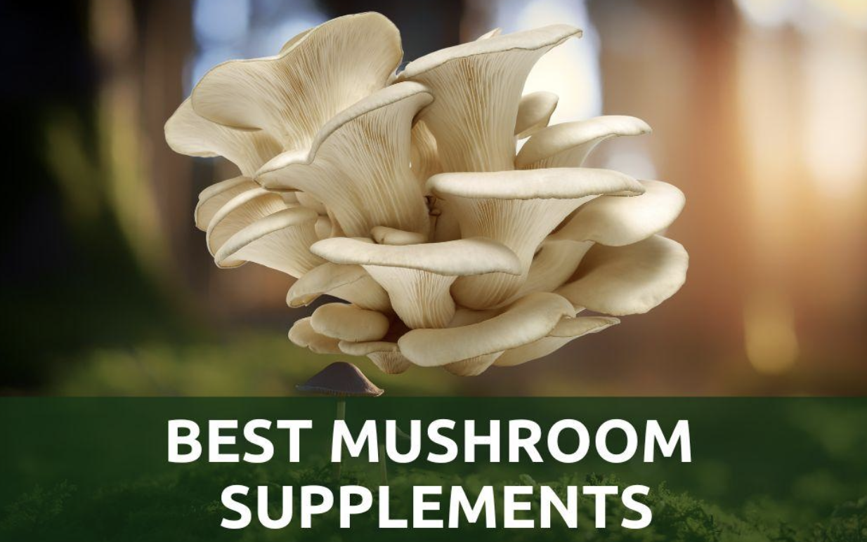 Mushrooms in a forrest with the text "Best Mushroom Supplements"