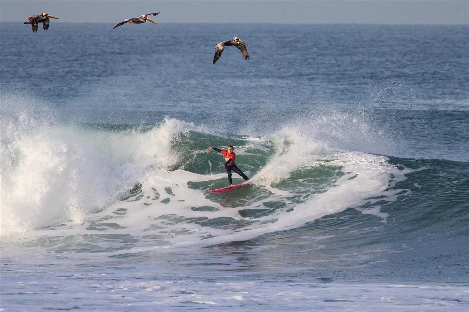 Alyssa Spencer Surfing a Wave with pelicans flying above her at the 2022 Super Girl Pro at the Oceanside Pier