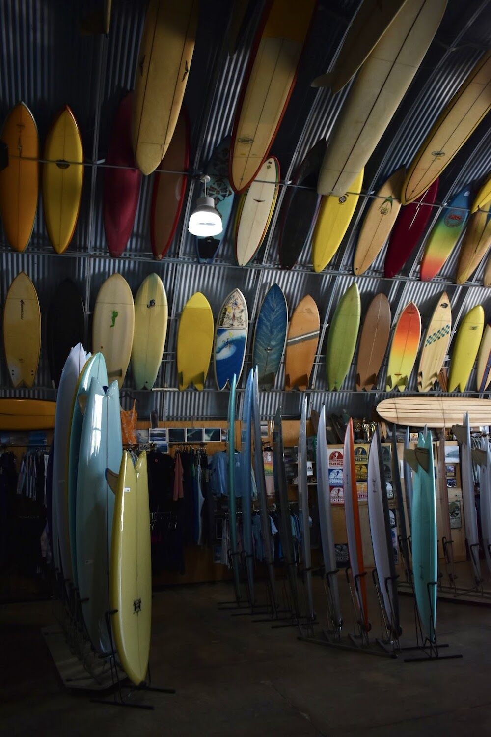 Bird's Surf Shed