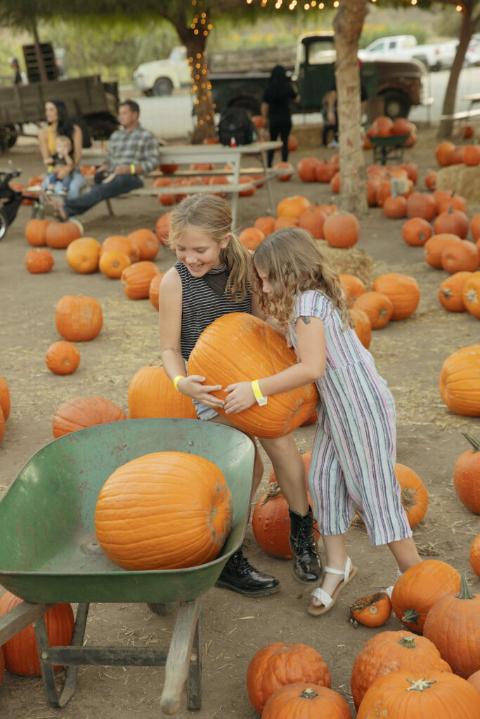 Two kids at Peltzer Winery's annual fall pumpkin patch lifting a pumpkin into a wheelbarrow