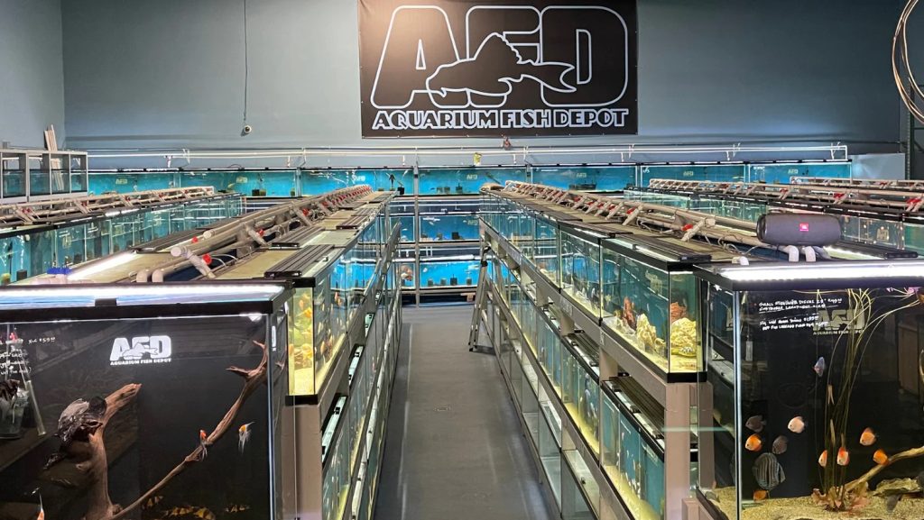 Aquraium Fish Depot interior full of fish in Clairemont San Diego