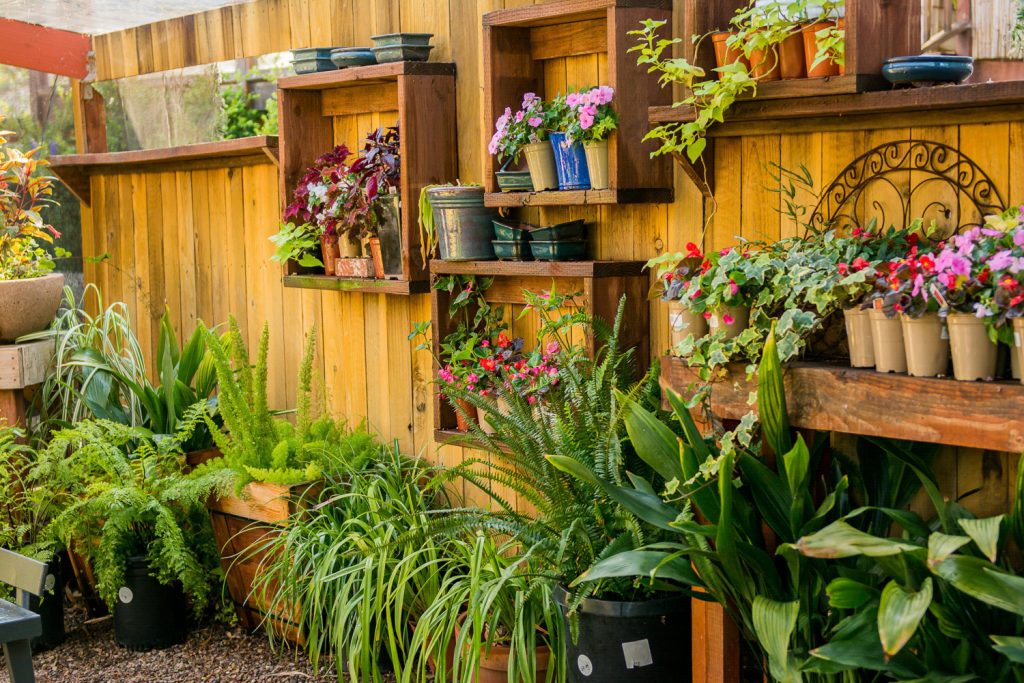 Wall of plants and flowers at Barrels & Branches in San Diego
