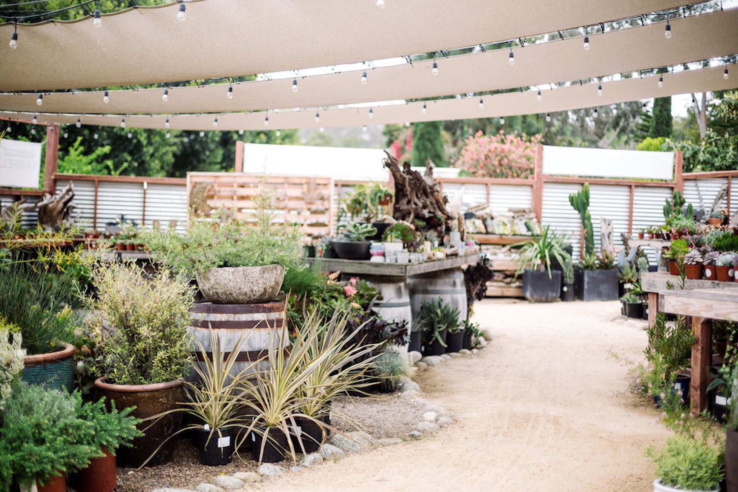Branches and Barrels, one of San Diego's best plant shops and nurseries